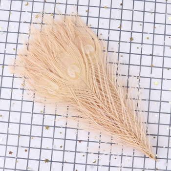 Боядисани паунови пера 25-30 CM/10-12 инча Направи си сам за шиене на дрехи Декорация на домашно парти Занаяти Шлейф аксесоар 10 бр./лот