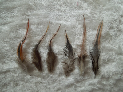 Plume! 50 buc/lot! Bursuc din șa mijlocie neagră de 4-6 inchi, PENE NATURALE DE HACKLE, pentru decorarea hainelor, material pentru legarea muștelor