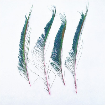 10tk/partii Kvaliteetne naturaalne Värvimine paabulinnu sulg mõõk 30-40cm Isetehtud suled käsitööks dekoreerimiseks lillevaas tähistamine plumas
