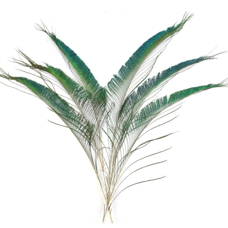 10tk/partii Kvaliteetne naturaalne Värvimine paabulinnu sulg mõõk 30-40cm Isetehtud suled käsitööks dekoreerimiseks lillevaas tähistamine plumas