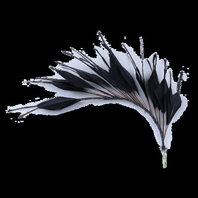 Veleprodaja Prekrasna guščja pera Cvjetni vjenčani korzaži Čvrsto perje za rukotvorine Dodaci za ukrašavanje ukrasa za glavu Perje