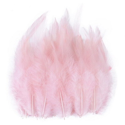 4–6-tolline valge ots Kanasulg DIY käsitsi valmistatud aksessuaarid Ehted Dekoratsioon Kangas Rõivad Kleidi Töötlemine Sulgede Käsitöö