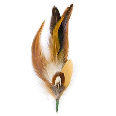 Φυσικά φτερά Διακόσμηση Κεφαλή Όμορφο φτερό κοτόπουλου φασιανού για χειροτεχνίες Καπέλα αποκριάτικου γάμου Αξεσουάρ