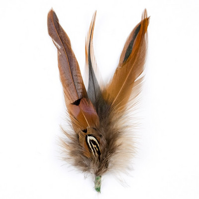Φυσικά φτερά Διακόσμηση Κεφαλή Όμορφο φτερό κοτόπουλου φασιανού για χειροτεχνίες Καπέλα αποκριάτικου γάμου Αξεσουάρ