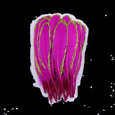 WCFeatherS 10 tk kullasse kastetud musta hanesulgi 15-20 cm DIY tarvikud Peakatte Kaunistussuled käsitööks