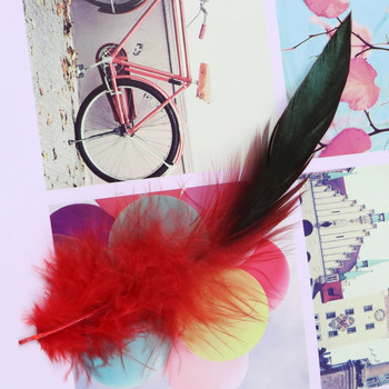 15-20 см пера от петел Направи си сам изработка на бижута Пилешки пера Карнавална сватбена рокля Висяща стена Декоративни пера за занаяти