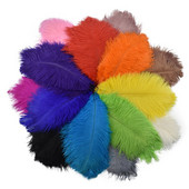 10 buc/lot pene naturale de struț colorate 25-30 cm pentru meșteșuguri DIY decorare nuntă penne centre de masă pene de carnaval