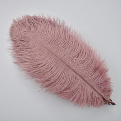 10 buc/lot pene naturale de struț colorate 25-30 cm pentru meșteșuguri DIY decorare nuntă penne centre de masă pene de carnaval