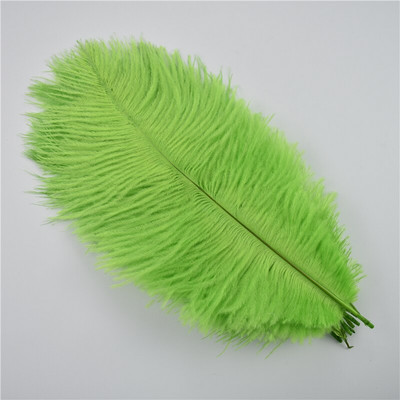 10 buc/lot pene naturale de struț colorate 25-30 cm pentru meșteșuguri DIY decorare nuntă penne centre de masă pene de carnaval