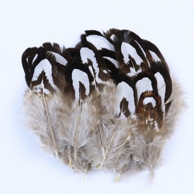 Pene naturale de cocos de fazan 5-10 CM Decor pentru confectionarea de bijuterii Petrecere de carnaval Accesorii lucrate manual Artizanat Pene 50 buc.