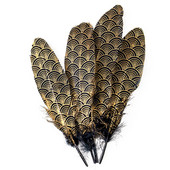 10 bucăți pene de gâscă naturale negre, solzi de pește15-20 cm/4-6 inch pentru bricolaj, juju, pălărie, accesorii pentru îmbrăcăminte, bijuterii, decorați penne