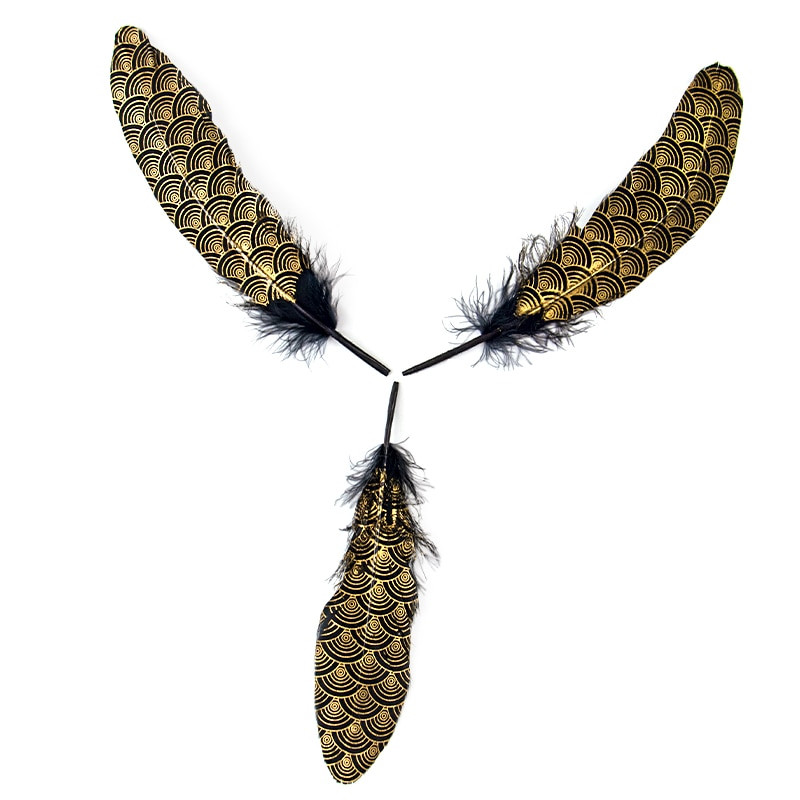 10 bucăți pene de gâscă naturale negre, solzi de pește15-20 cm/4-6 inch pentru bricolaj, juju, pălărie, accesorii pentru îmbrăcăminte, bijuterii, decorați penne