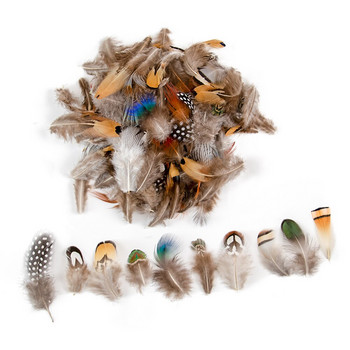 50 ΤΕΜ Φυσικά φτερά φασιανού DIY Crafts Διακόσμηση κεφαλής Ρούχα και στολισμός καπέλων Ονειροπαγίδα Διακοσμητικά χειροτεχνίας