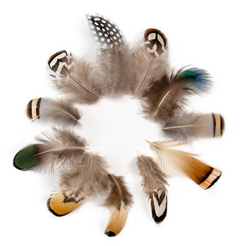 50 ΤΕΜ Φυσικά φτερά φασιανού DIY Crafts Διακόσμηση κεφαλής Ρούχα και στολισμός καπέλων Ονειροπαγίδα Διακοσμητικά χειροτεχνίας