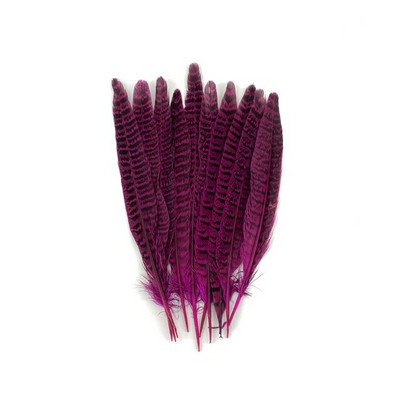 10 kom/lot prirodno perje od fazanovog repa za zanate 10-12 inča šareno perje za izradu nakita DIY ukrasi za zabave perjanice