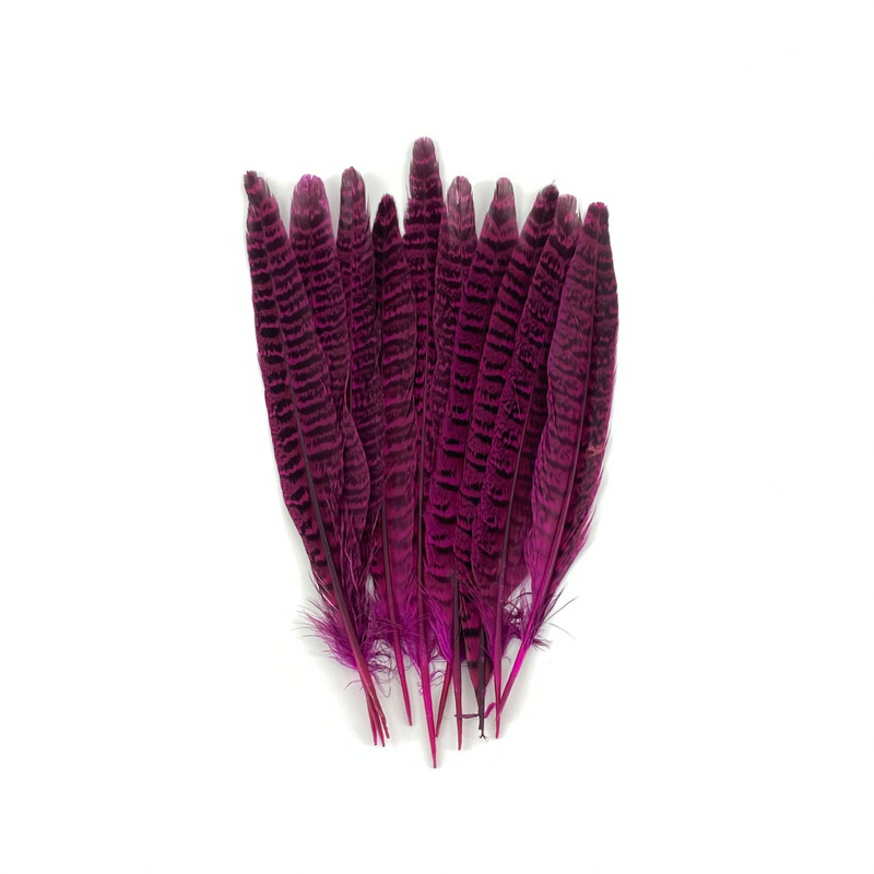 10 kom/lot prirodno perje od fazanovog repa za zanate 10-12 inča šareno perje za izradu nakita DIY ukrasi za zabave perjanice