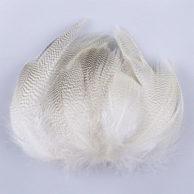 Pardisulgi 50 tk musta triibuga hanesulgi kaunistus käsitööks kunstlik sulg 5-10 cm roheline pehme isetegemise tarvikud tarvikud