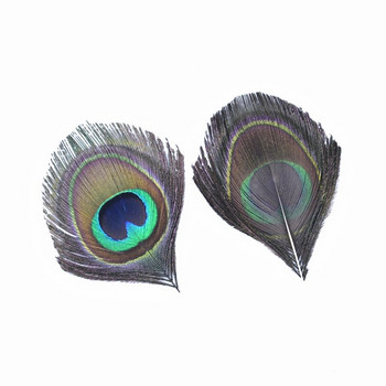 10 τμχ Φυσικά σπάνια φτερά παγωνιού Φτερά ματιών για χειροτεχνία Διακόσμηση κεντημάτων με φτερά φασιανού Κοσμήματα Καρναβάλι λοφίο