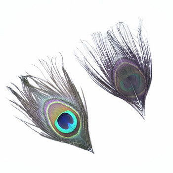10 τμχ Φυσικά σπάνια φτερά παγωνιού Φτερά ματιών για χειροτεχνία Διακόσμηση κεντημάτων με φτερά φασιανού Κοσμήματα Καρναβάλι λοφίο