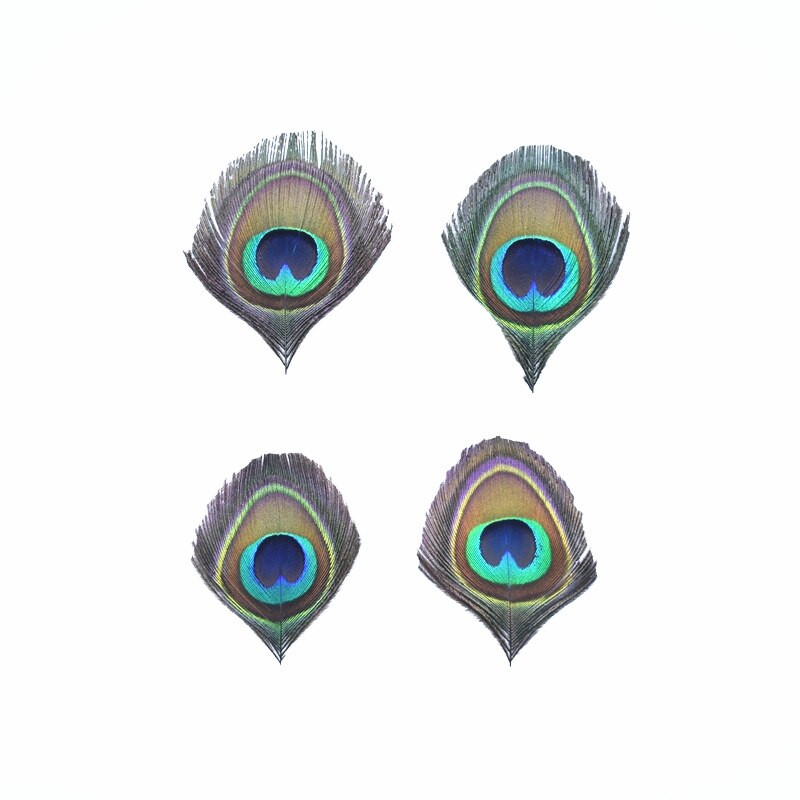 10 komada Prirodno, rijetko paunovo perje, perje za oči za ručni rad, ukrasi, ukrasi od fazanovog perja, nakit, karnevalsko perje