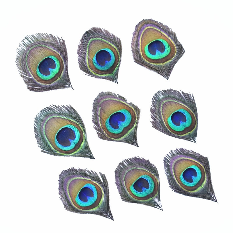 10 komada Prirodno, rijetko paunovo perje, perje za oči za ručni rad, ukrasi, ukrasi od fazanovog perja, nakit, karnevalsko perje