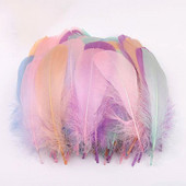 100vnt/part Natūralios Spalvingos Plunksnos Vestuviniai Papuošalai Gamyba Žąsų Plunksnos Vakarėlis Kalėdiniai amatai Pasidaryk pats slyvos Dekoracija 15-20cm