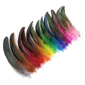 50 tk/partii 15-20 cm kukesuled meisterdamiseks Kanakaunistus ehete loomine pühade aksessuaarid Värvilised faasani ploomid