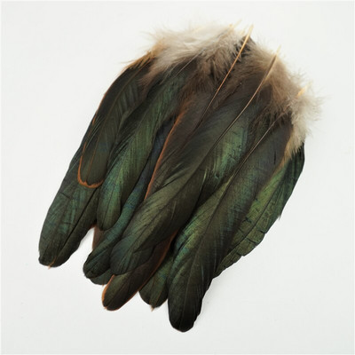 50 tk/partii 15-20 cm kukesuled meisterdamiseks Kanakaunistus ehete loomine pühade aksessuaarid Värvilised faasani ploomid