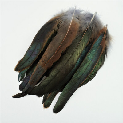 50 tk/partii 15-20 cm kukesuled meisterdamiseks Kanakaunistus ehete loomine pühade aksessuaarid Värvilised faasani ploomid