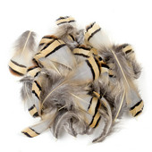 5-8 CM Prirodno perje pijetla od fazana Malo za DIY ručni rad Carfts Nakit Izrada naušnica Ukrasno paunovo pureće perje