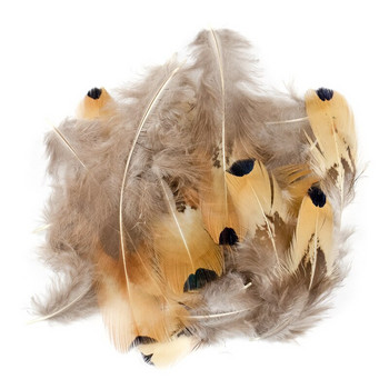 Φυσικά φτερά κόκορα φασιανού 5-8 εκατοστών Μικρά για DIY Χειροποίητα καρφέτα Σκουλαρίκια κοσμήματος Κατασκευή διακοσμητικών λοφίων γαλοπούλας Peacock
