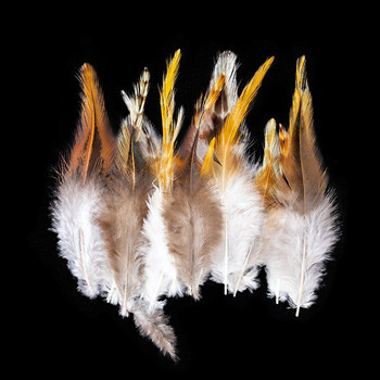5-8CM Естествени фазанови пера от петел Малки за Направи си сам ръчна изработка Изработка на обеци за бижута Декоративни паунови пера