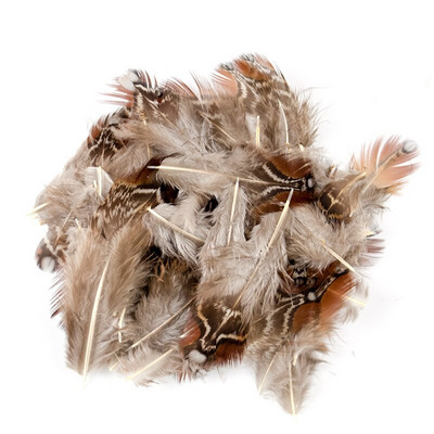 5-8 CM Prirodno perje pijetla od fazana Malo za DIY ručni rad Carfts Nakit Izrada naušnica Ukrasno paunovo pureće perje