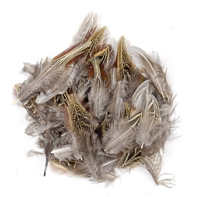 5-8 CM Prirodno perje pijetla od fazana Malo za DIY ručni rad Carfts Nakit Izrada naušnica Ukrasno paunovo pureće perje