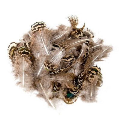 5-8 CM Prirodno perje pijetla od fazana Malo za DIY ručni rad Carfts Nakit Izrada naušnica Ukrasno paunovo pureće perje