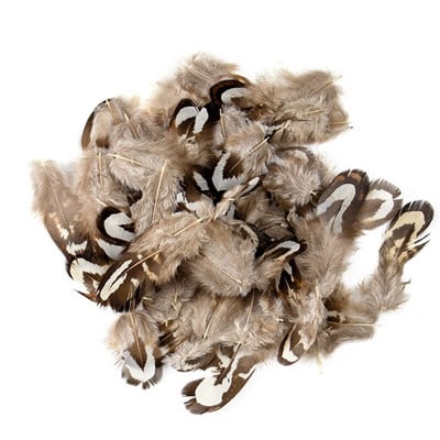 5-8 CM Prirodno perje pijetla od fazana Malo za DIY ručni rad Carfts Nakit Izrada naušnica Ukrasno paunovo pureće perje