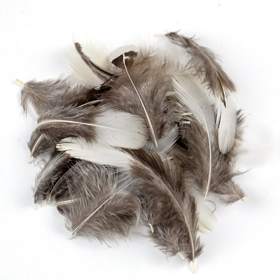 5-8 CM Prirodno perje pijetla od fazana Malo za DIY ručni rad Carfts Nakit Izrada naušnica Ukrasno paunovo pureće perje