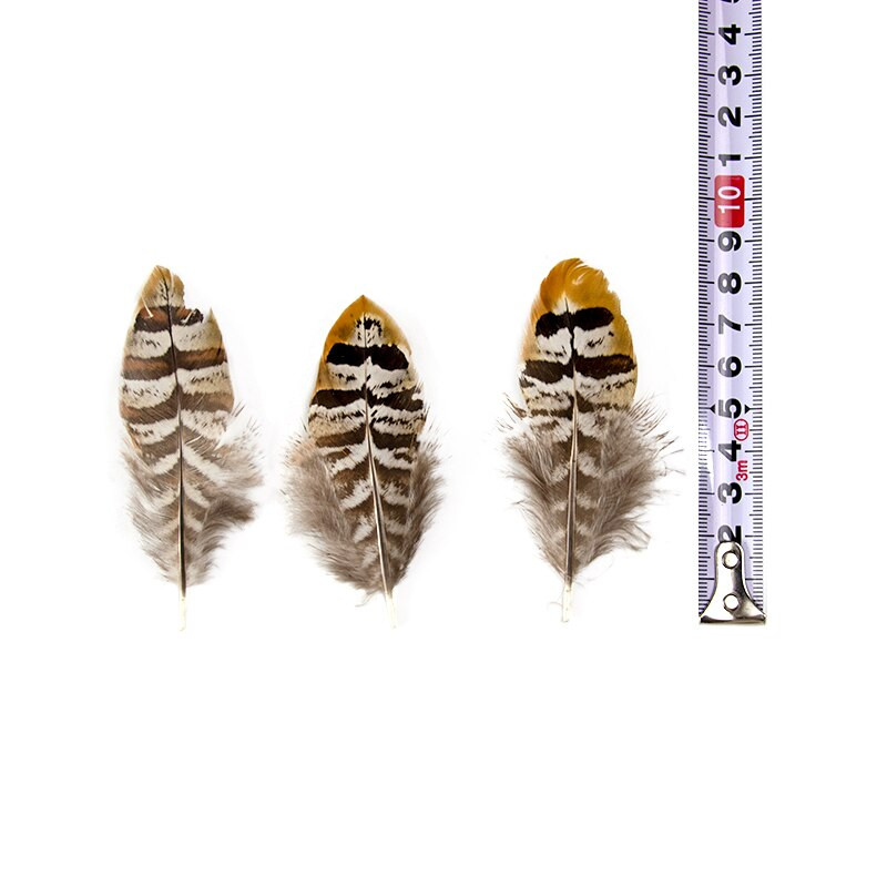 5-8 CM Prirodno perje pijetla od fazana Malo za DIY ručni rad Carfts Nakit Izrada naušnica Ukrasno paunovo pureće perje