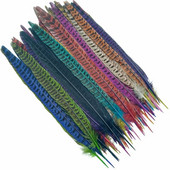 10 tk Naturaalsed emase faasanisaba suled käsitööks jõulupulmade keskosad Diy Pluma Eksootilised aksessuaarid kaunistused 25-30cm