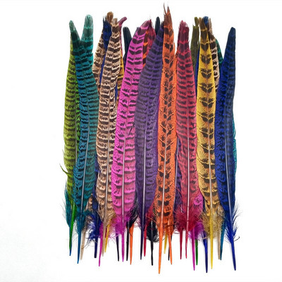 10 tk Naturaalsed emase faasanisaba suled käsitööks jõulupulmade keskosad Diy Pluma Eksootilised aksessuaarid kaunistused 25-30cm