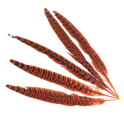 10 tk Naturaalsed emase faasanisaba suled käsitööks jõulupulmade keskosad Diy Pluma Eksootilised aksessuaarid kaunistused 25-30cm