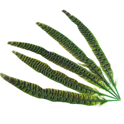 10 tk Naturaalsed emase faasanisaba suled käsitööks jõulupulmade keskosad Diy Pluma Eksootilised aksessuaarid kaunistused 25-30cm