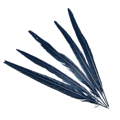 10 tk Naturaalsed emase faasanisaba suled käsitööks jõulupulmade keskosad Diy Pluma Eksootilised aksessuaarid kaunistused 25-30cm