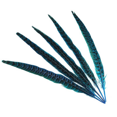 10 tk Naturaalsed emase faasanisaba suled käsitööks jõulupulmade keskosad Diy Pluma Eksootilised aksessuaarid kaunistused 25-30cm