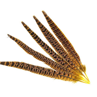 10 tk Naturaalsed emase faasanisaba suled käsitööks jõulupulmade keskosad Diy Pluma Eksootilised aksessuaarid kaunistused 25-30cm