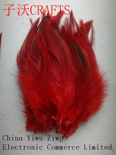 Veleprodaja 100 / lot 10-15 CM ukrasi od fazanskog perja prirodne kvalitete DIY ručno izrađeni nakit / dodaci dodaci kostimi
