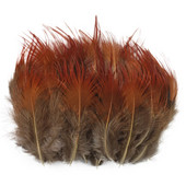 50 komada prirodnog žuto crvenog fazanskog perja za rukotvorine 3-8 CM perjanice za izradu malog nakita Rukotvorine Dodaci Dekoracija