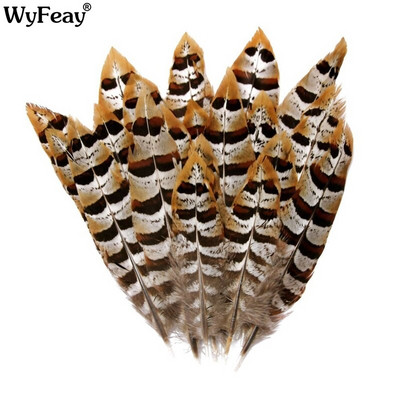 Reeves Venery Pheasant Tail Feathers for Needlework 5-15cm Small Feathers for Crafts DIY Jewelry Making Decoration Plumes Plumas