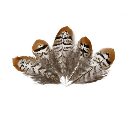 Reeves Venery Faasani saba suled näputööks 5-15 cm Väikesed suled käsitööks DIY ehete valmistamisel kaunistused ploomid plumas