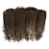 10kom/lot prirodno perje fazana pureće perje orlovsko perje za rukotvorine Carnaval Assesoires ukras perja lovca snova